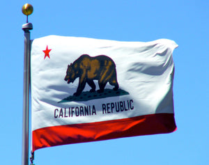 Let’s make California the land of opportunity, again: Brian Dahle
