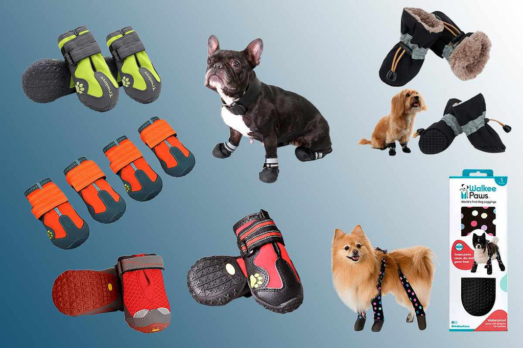 The best dog boots to protect your pet’s paws