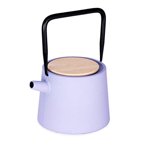 Coolest 18 Iron Kettle | Teapots