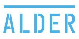 Alder Home Security Review